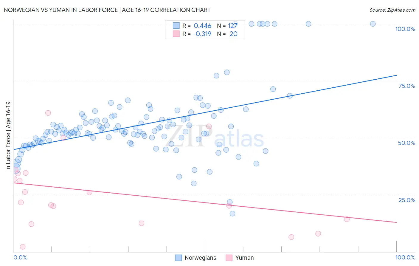 Norwegian vs Yuman In Labor Force | Age 16-19