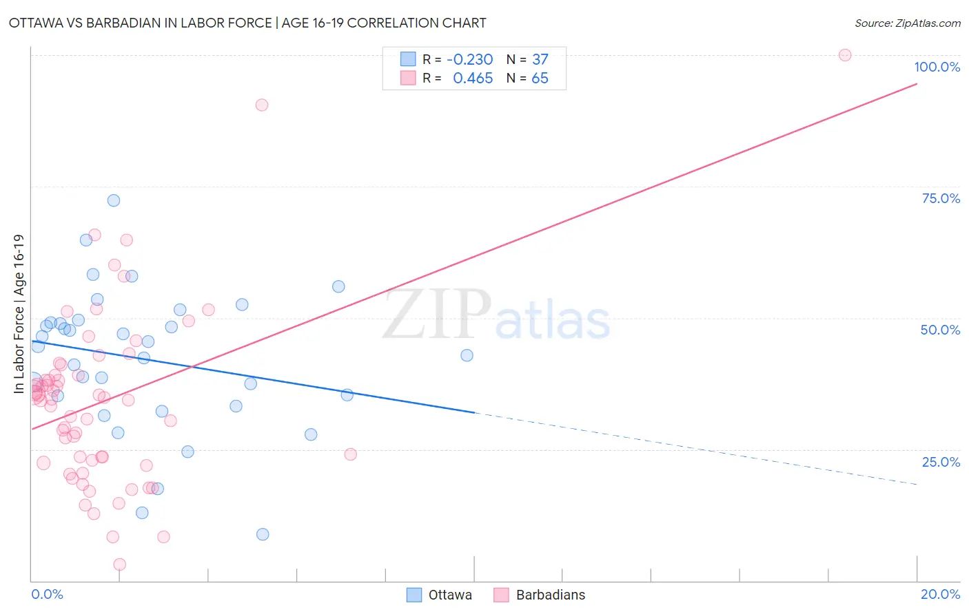 Ottawa vs Barbadian In Labor Force | Age 16-19