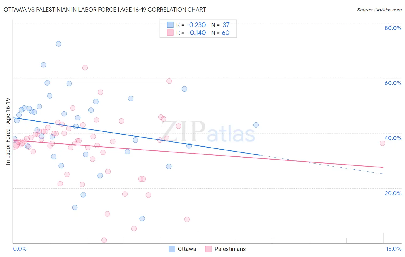 Ottawa vs Palestinian In Labor Force | Age 16-19