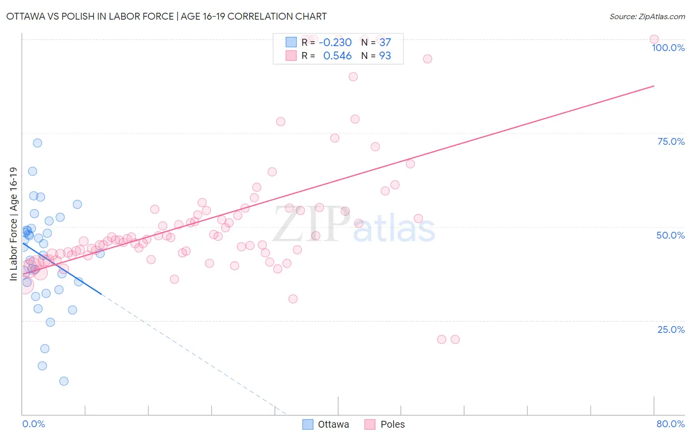 Ottawa vs Polish In Labor Force | Age 16-19