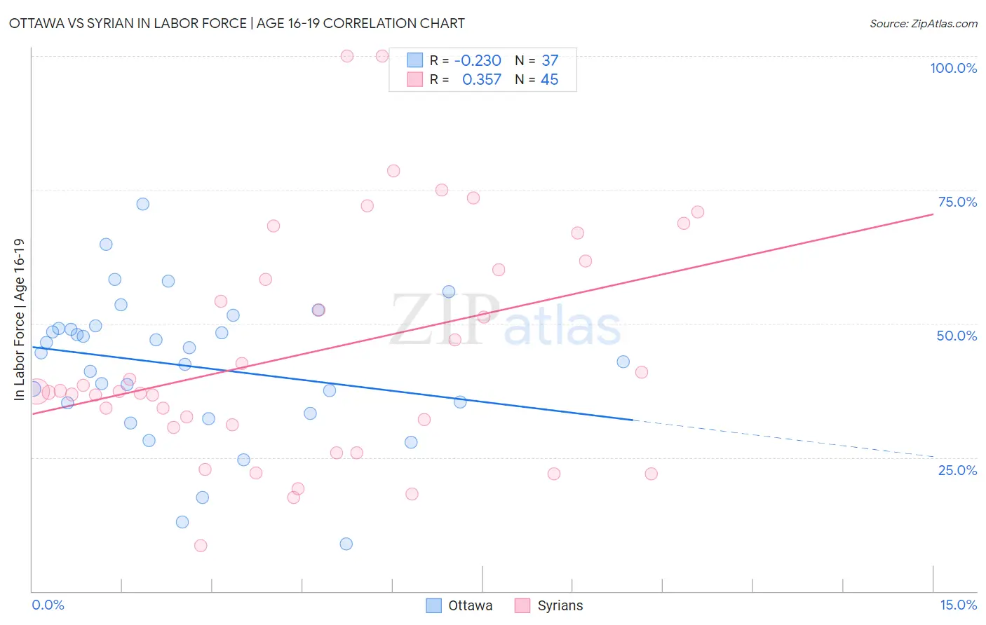 Ottawa vs Syrian In Labor Force | Age 16-19