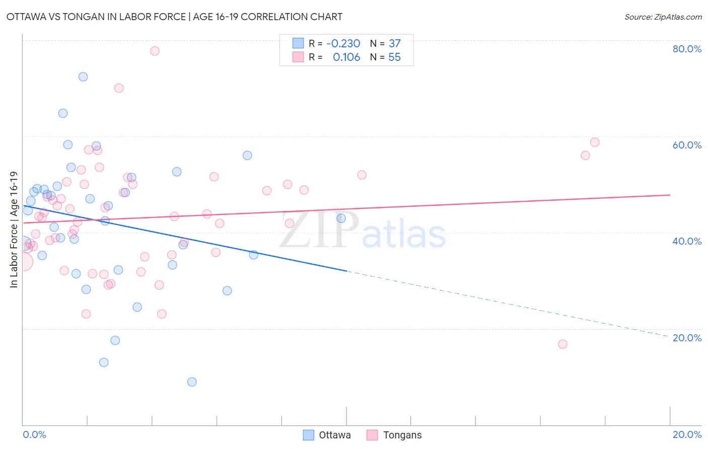 Ottawa vs Tongan In Labor Force | Age 16-19