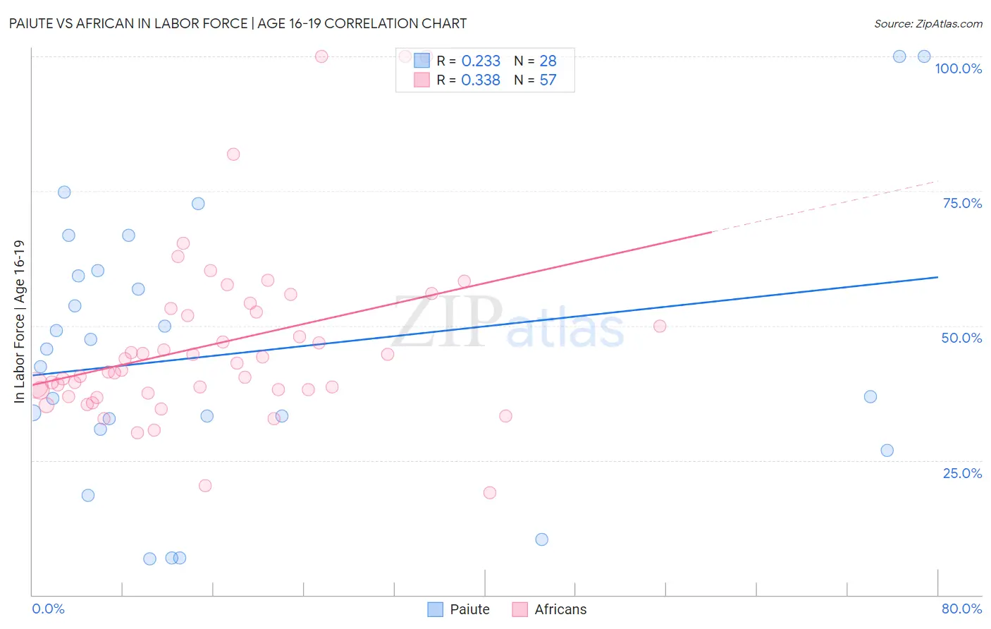 Paiute vs African In Labor Force | Age 16-19