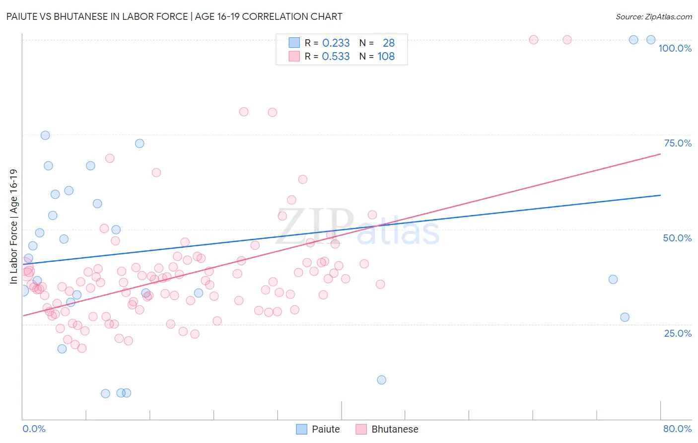 Paiute vs Bhutanese In Labor Force | Age 16-19