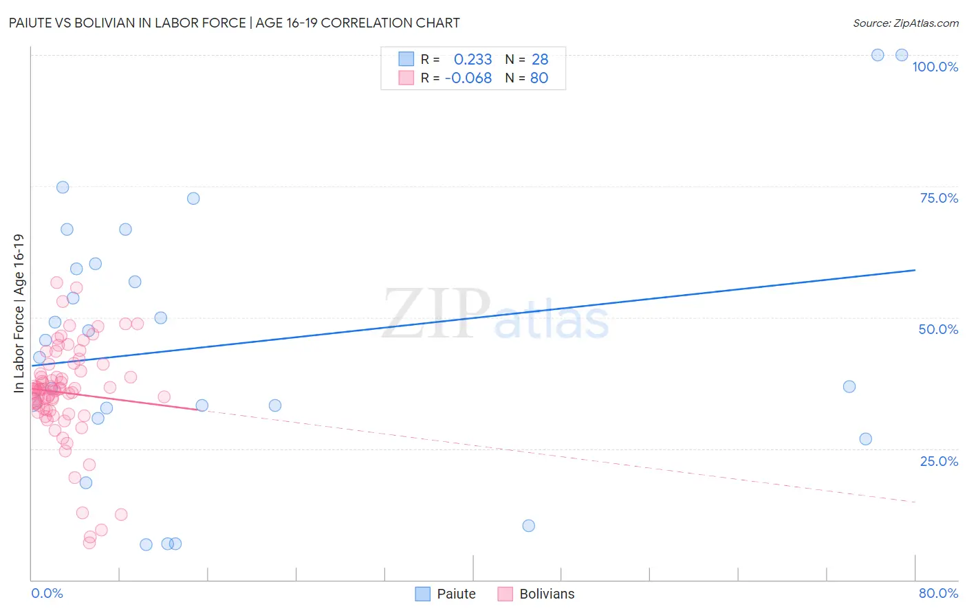 Paiute vs Bolivian In Labor Force | Age 16-19