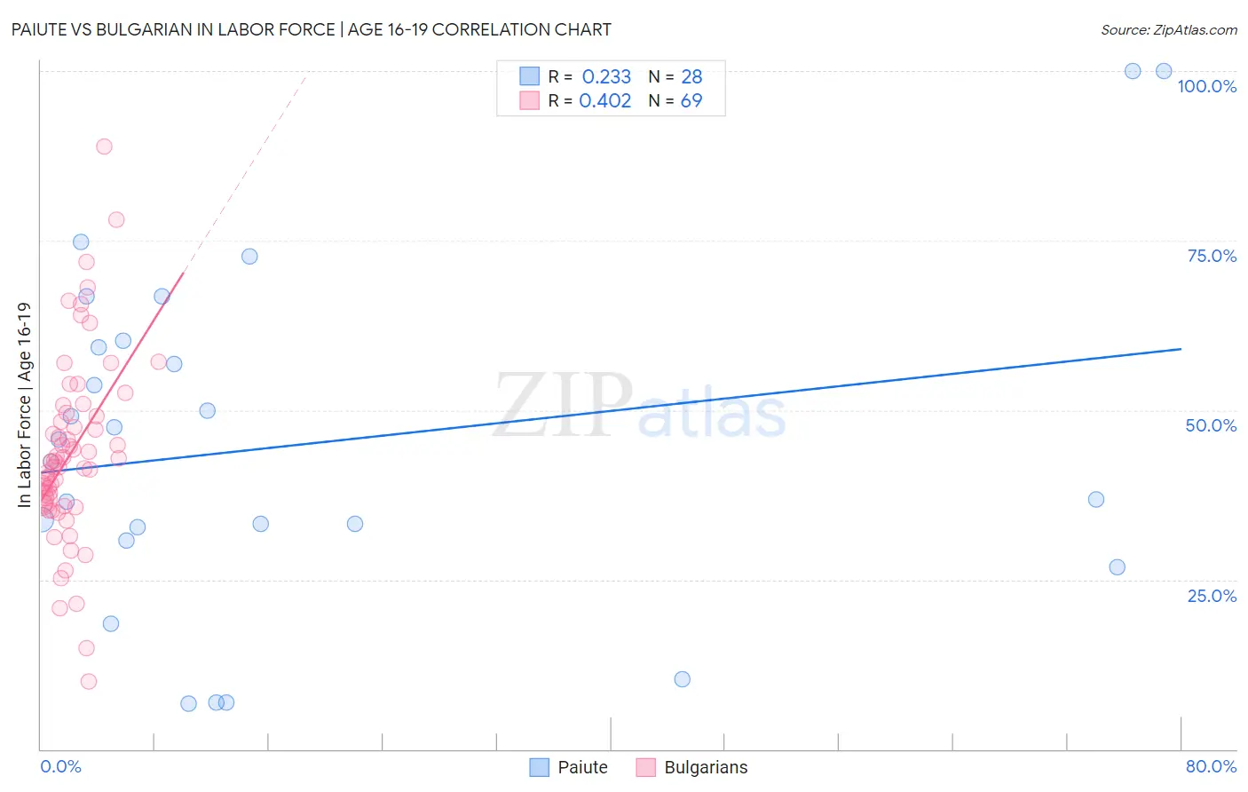 Paiute vs Bulgarian In Labor Force | Age 16-19