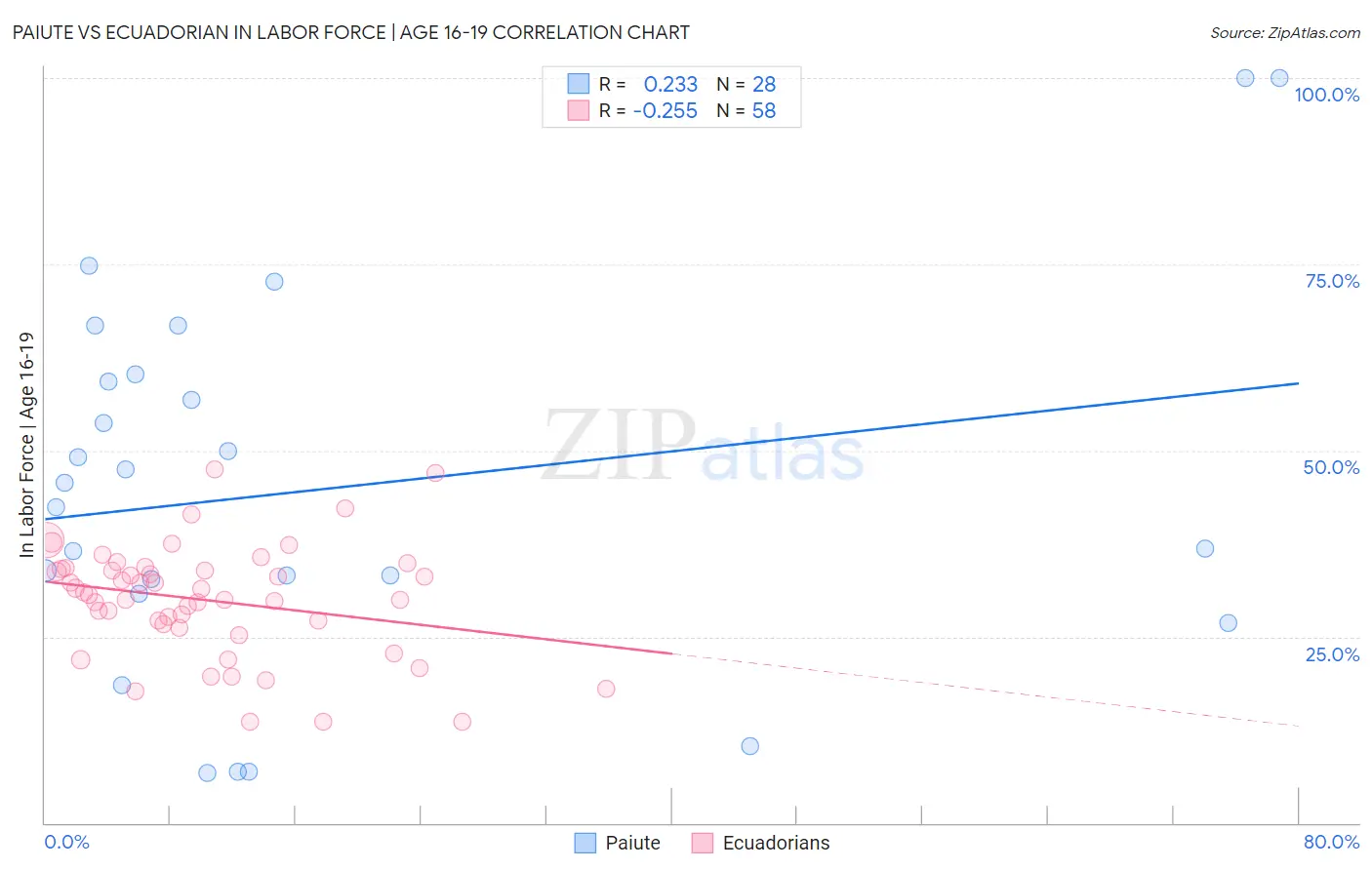Paiute vs Ecuadorian In Labor Force | Age 16-19