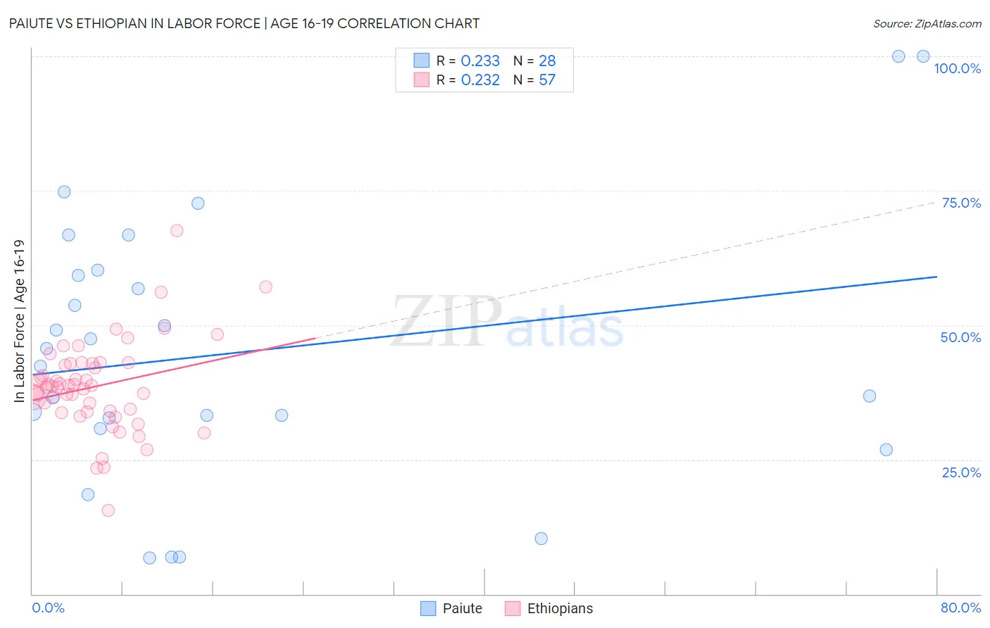 Paiute vs Ethiopian In Labor Force | Age 16-19