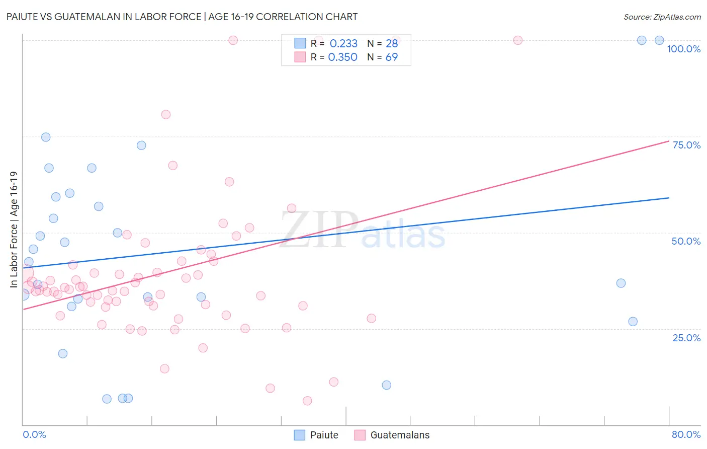 Paiute vs Guatemalan In Labor Force | Age 16-19