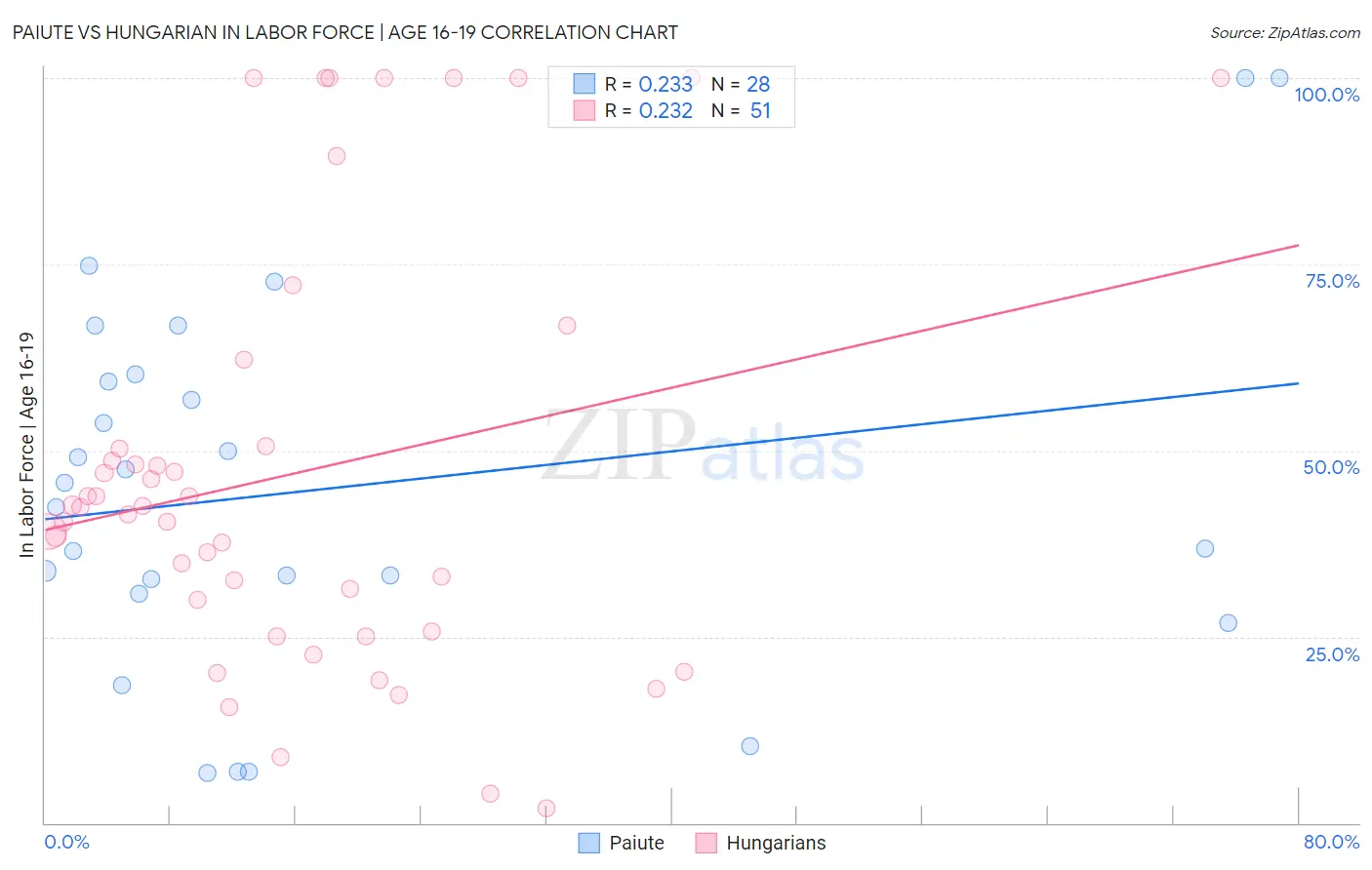 Paiute vs Hungarian In Labor Force | Age 16-19