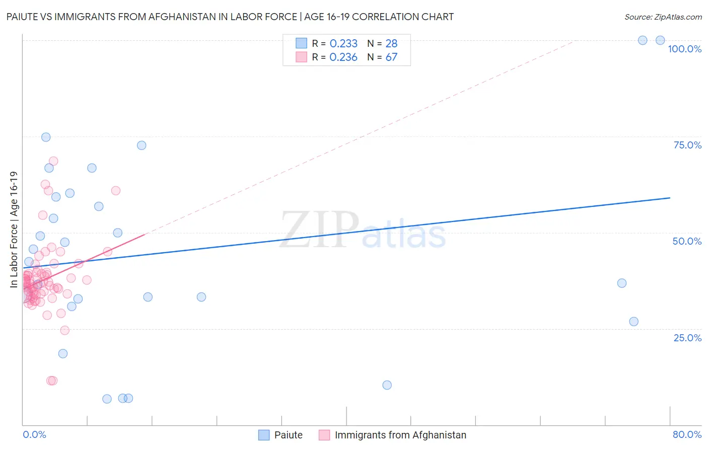 Paiute vs Immigrants from Afghanistan In Labor Force | Age 16-19