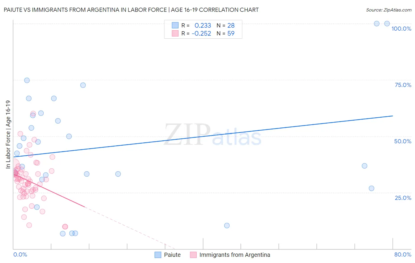 Paiute vs Immigrants from Argentina In Labor Force | Age 16-19