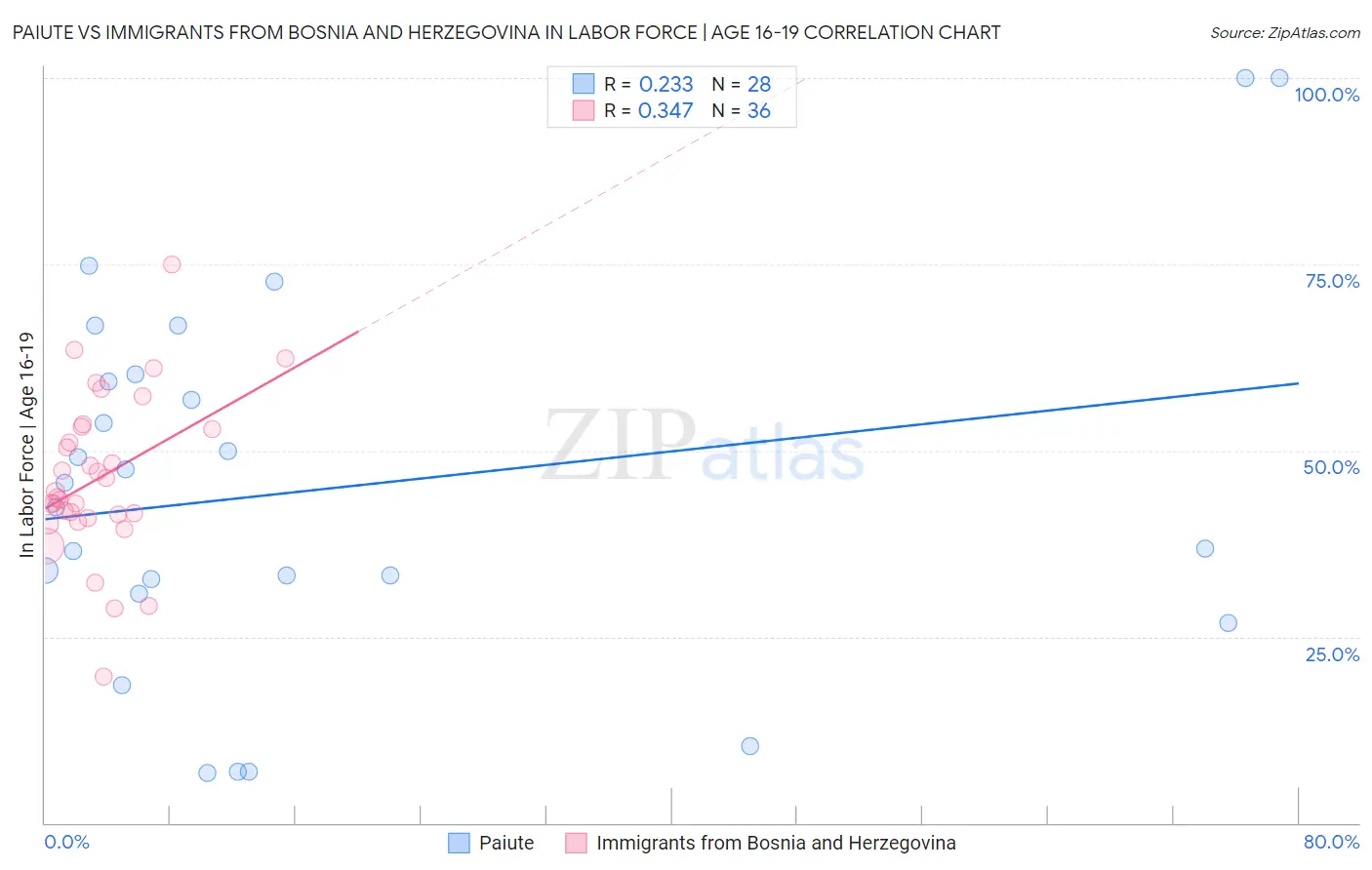 Paiute vs Immigrants from Bosnia and Herzegovina In Labor Force | Age 16-19
