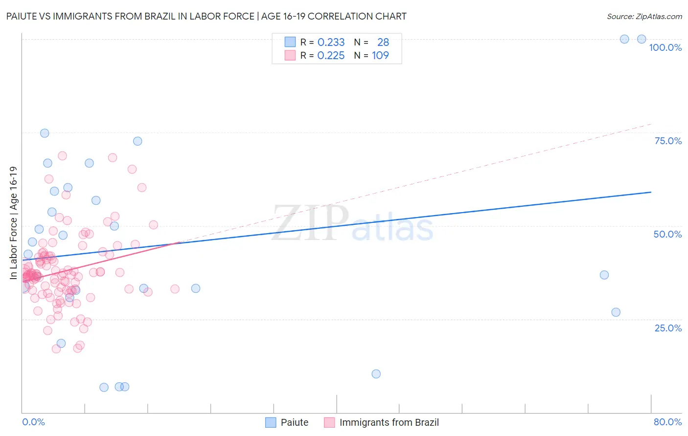 Paiute vs Immigrants from Brazil In Labor Force | Age 16-19