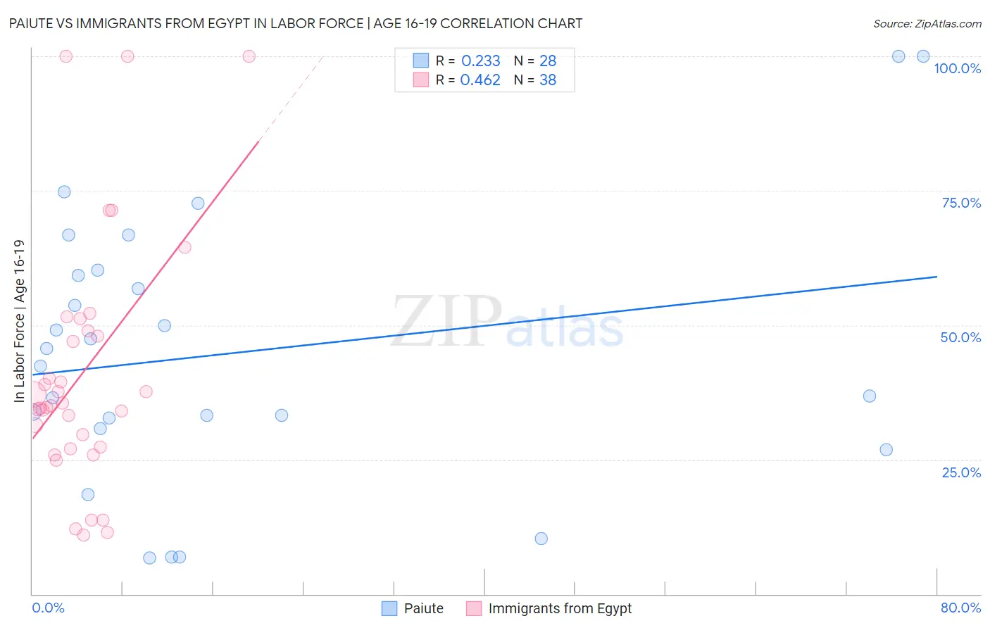 Paiute vs Immigrants from Egypt In Labor Force | Age 16-19