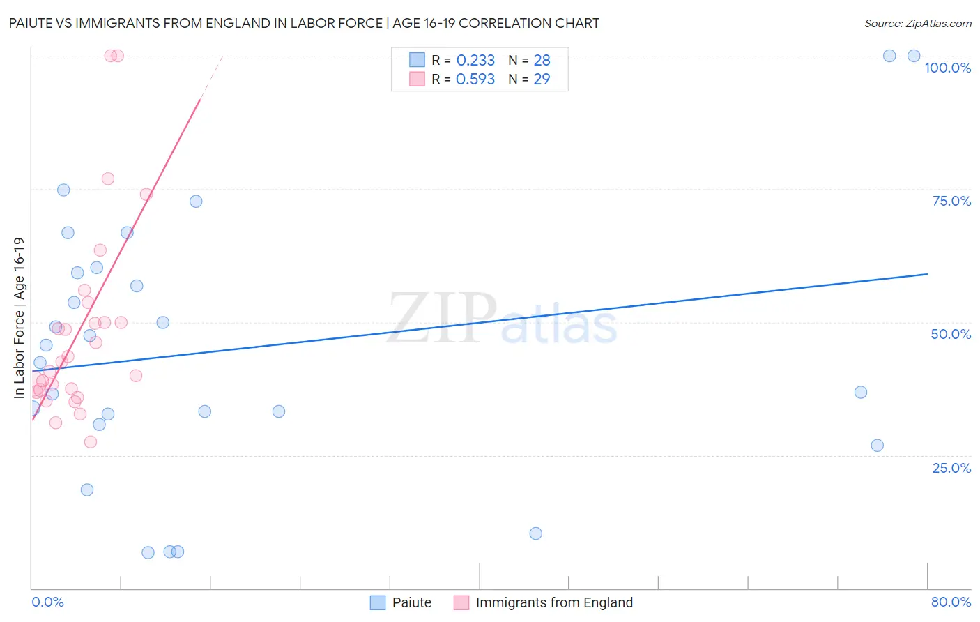 Paiute vs Immigrants from England In Labor Force | Age 16-19