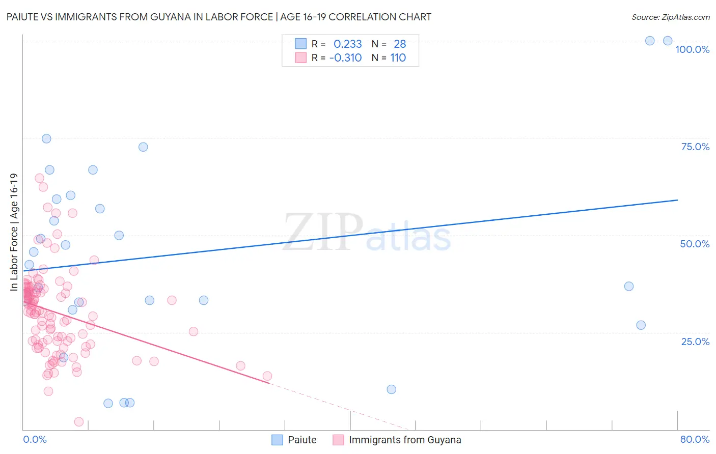 Paiute vs Immigrants from Guyana In Labor Force | Age 16-19
