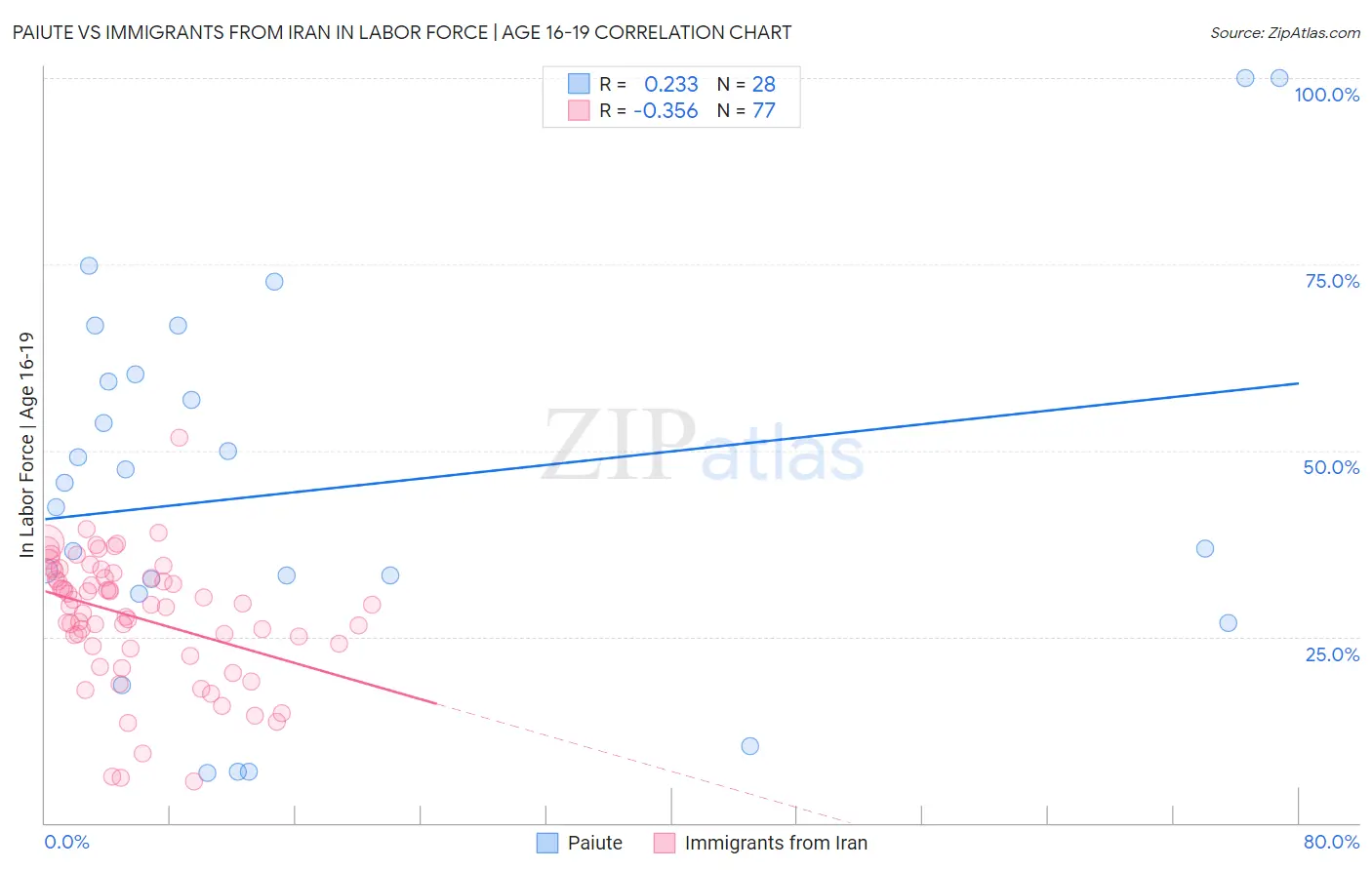 Paiute vs Immigrants from Iran In Labor Force | Age 16-19