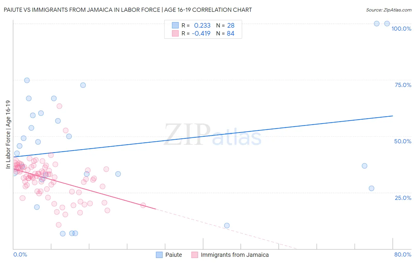 Paiute vs Immigrants from Jamaica In Labor Force | Age 16-19
