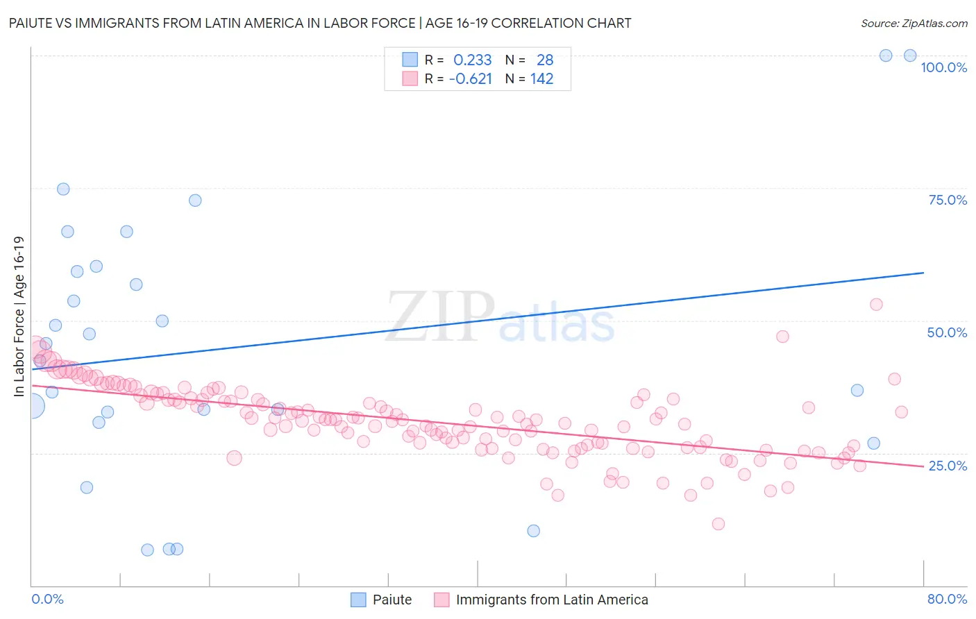 Paiute vs Immigrants from Latin America In Labor Force | Age 16-19