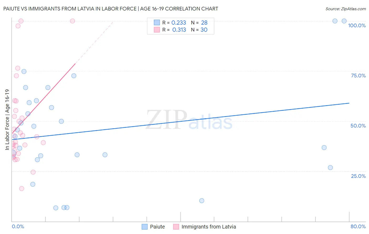 Paiute vs Immigrants from Latvia In Labor Force | Age 16-19