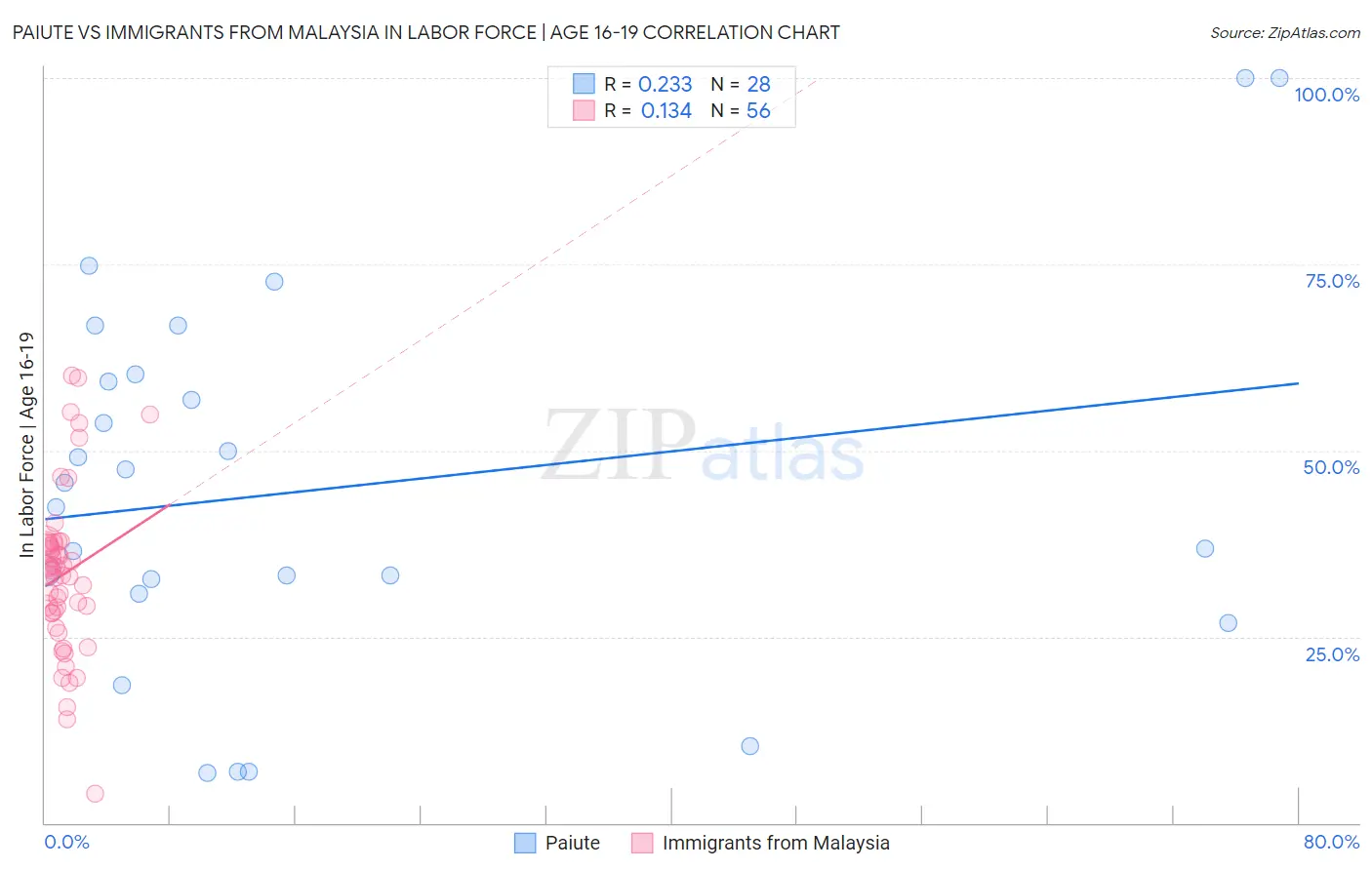 Paiute vs Immigrants from Malaysia In Labor Force | Age 16-19