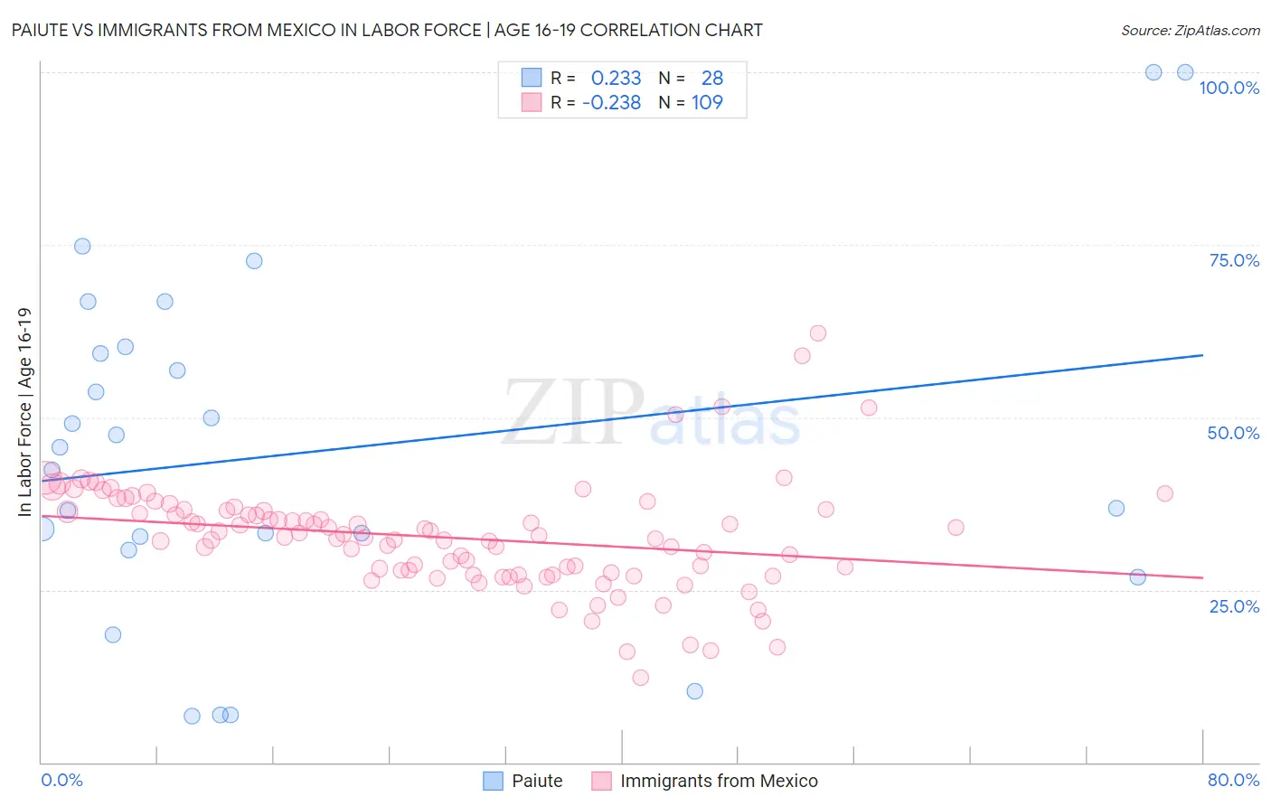 Paiute vs Immigrants from Mexico In Labor Force | Age 16-19