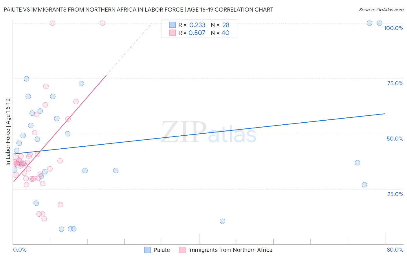 Paiute vs Immigrants from Northern Africa In Labor Force | Age 16-19