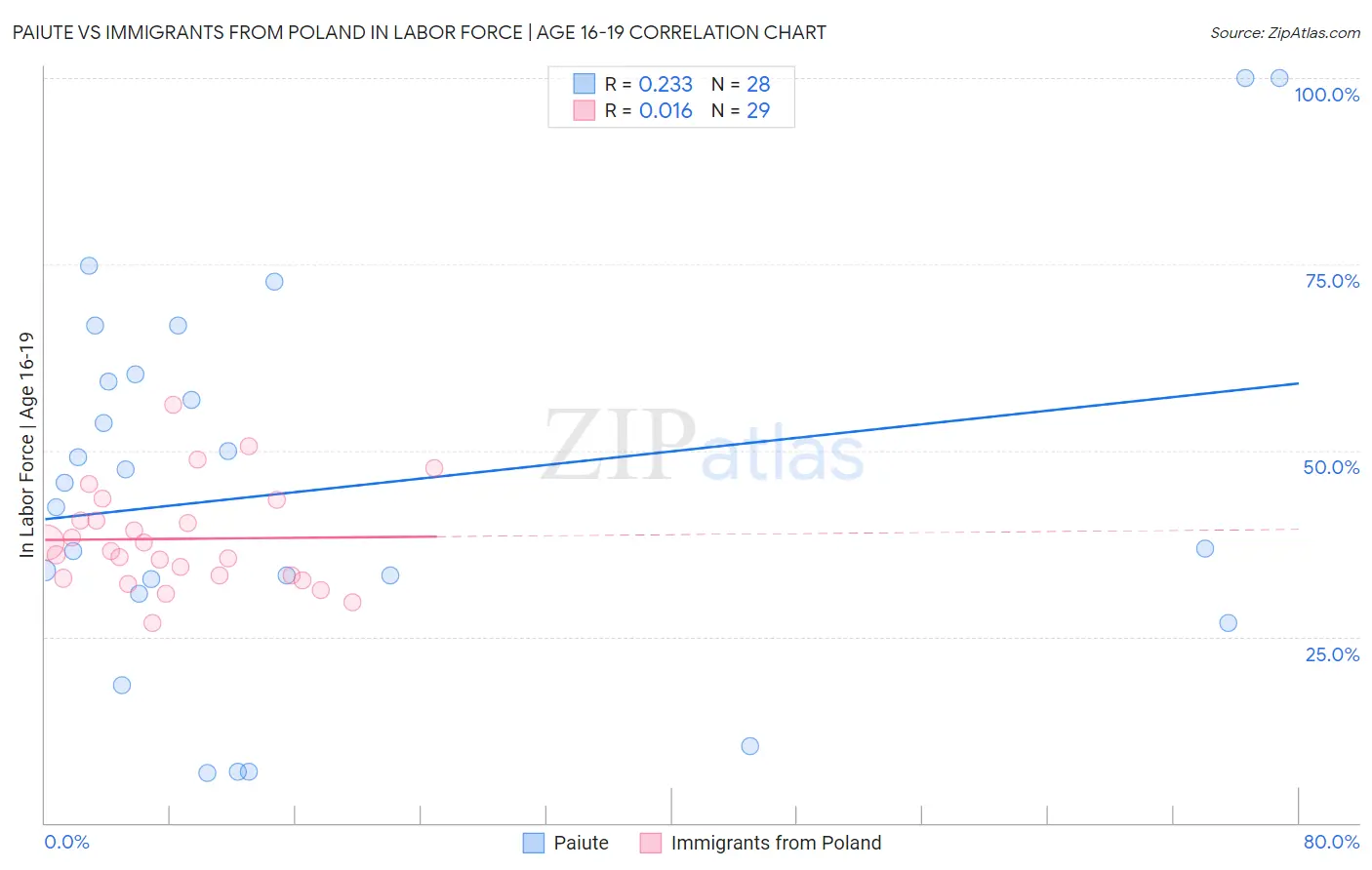Paiute vs Immigrants from Poland In Labor Force | Age 16-19