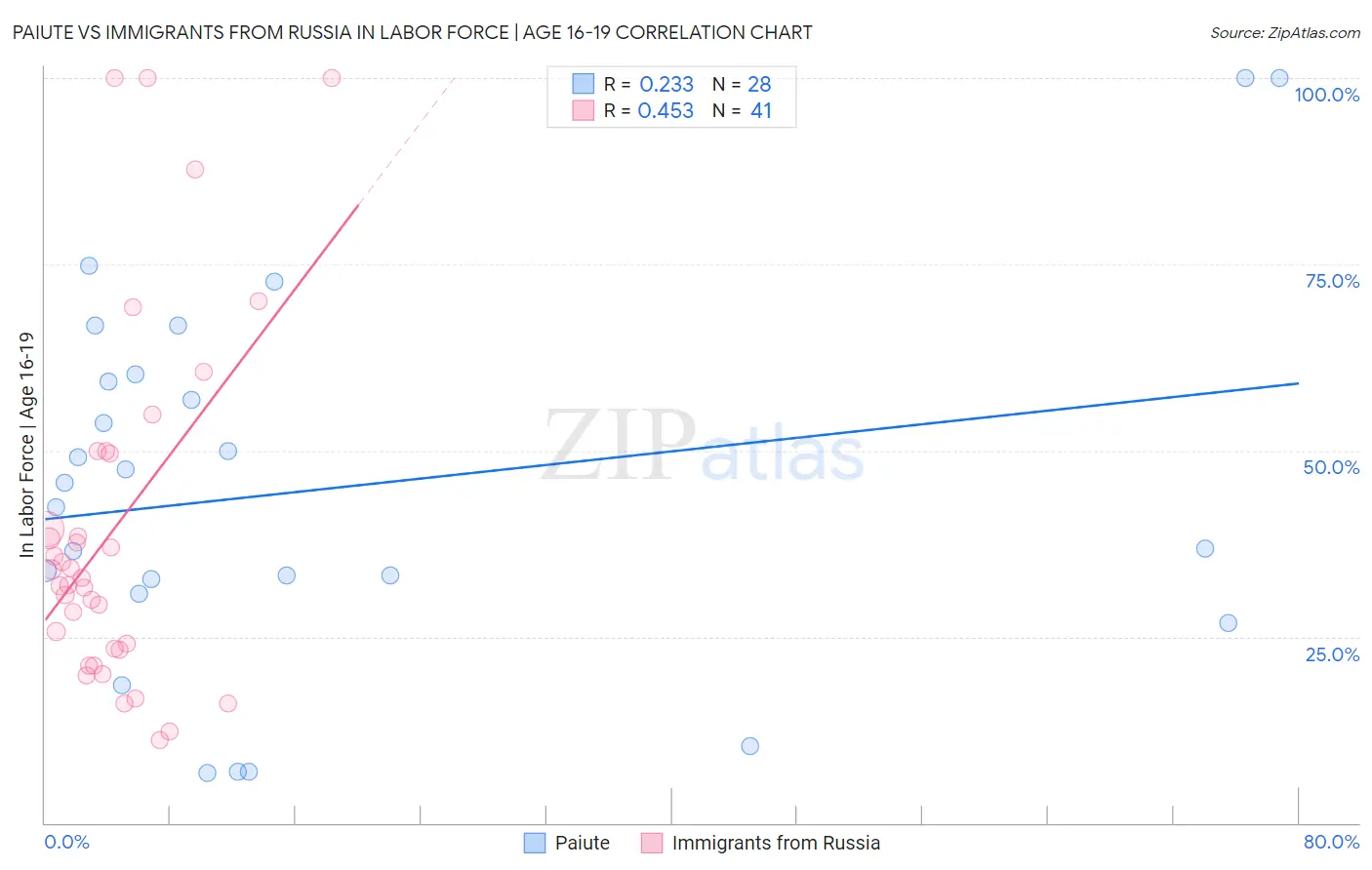 Paiute vs Immigrants from Russia In Labor Force | Age 16-19