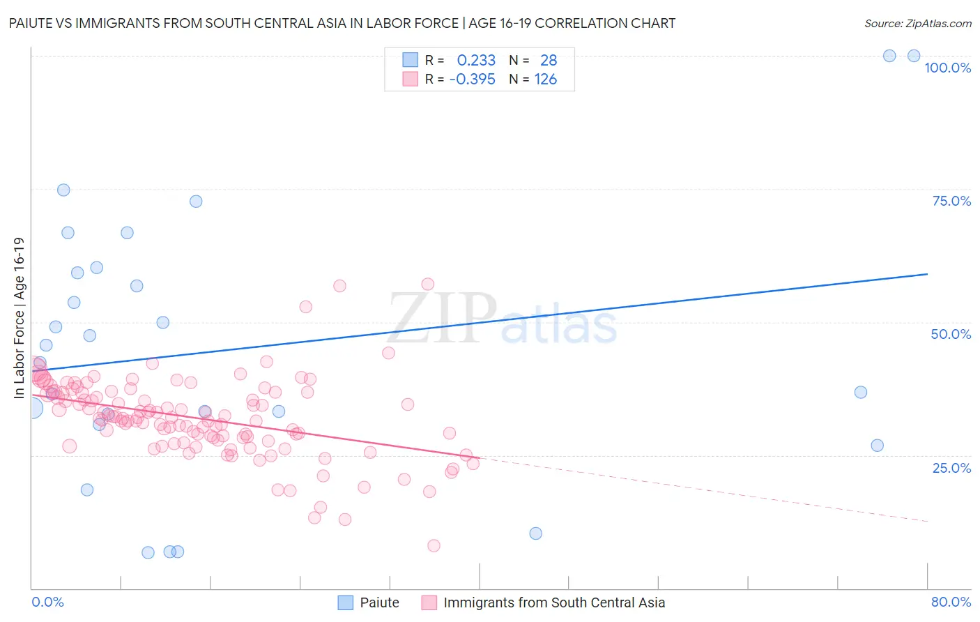 Paiute vs Immigrants from South Central Asia In Labor Force | Age 16-19