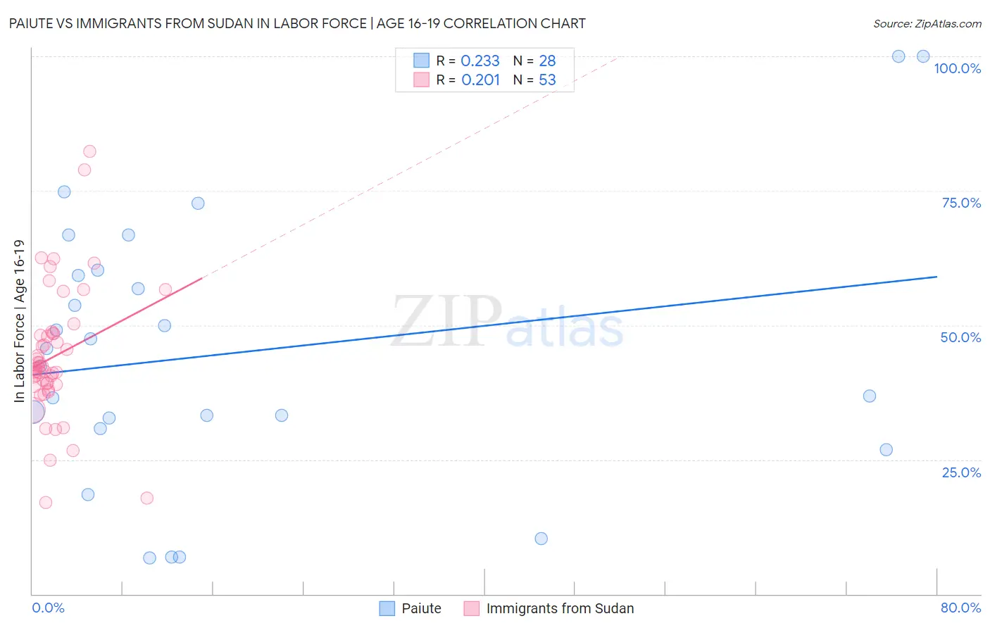 Paiute vs Immigrants from Sudan In Labor Force | Age 16-19