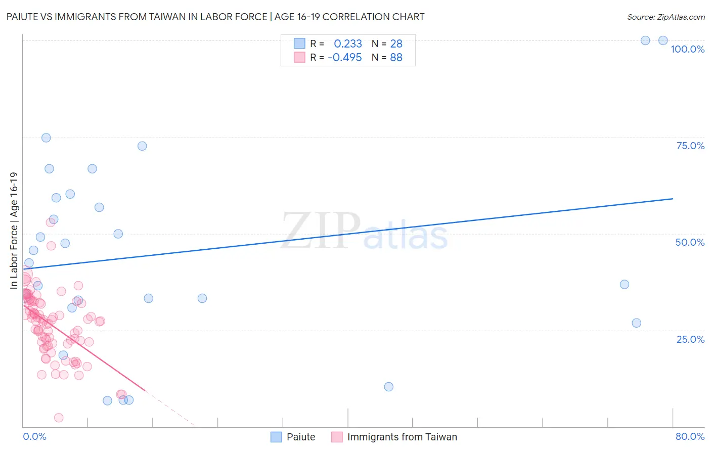 Paiute vs Immigrants from Taiwan In Labor Force | Age 16-19
