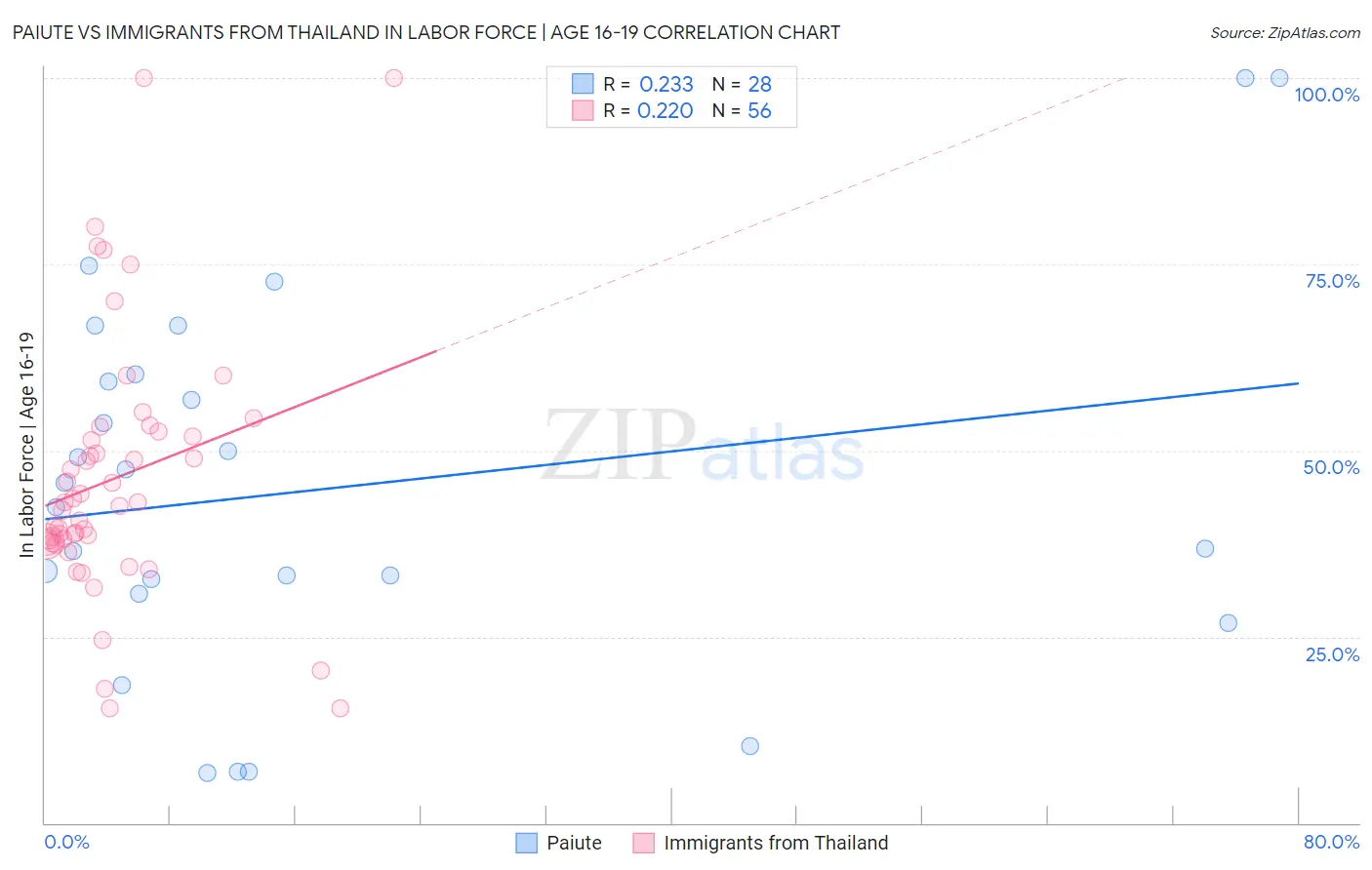 Paiute vs Immigrants from Thailand In Labor Force | Age 16-19