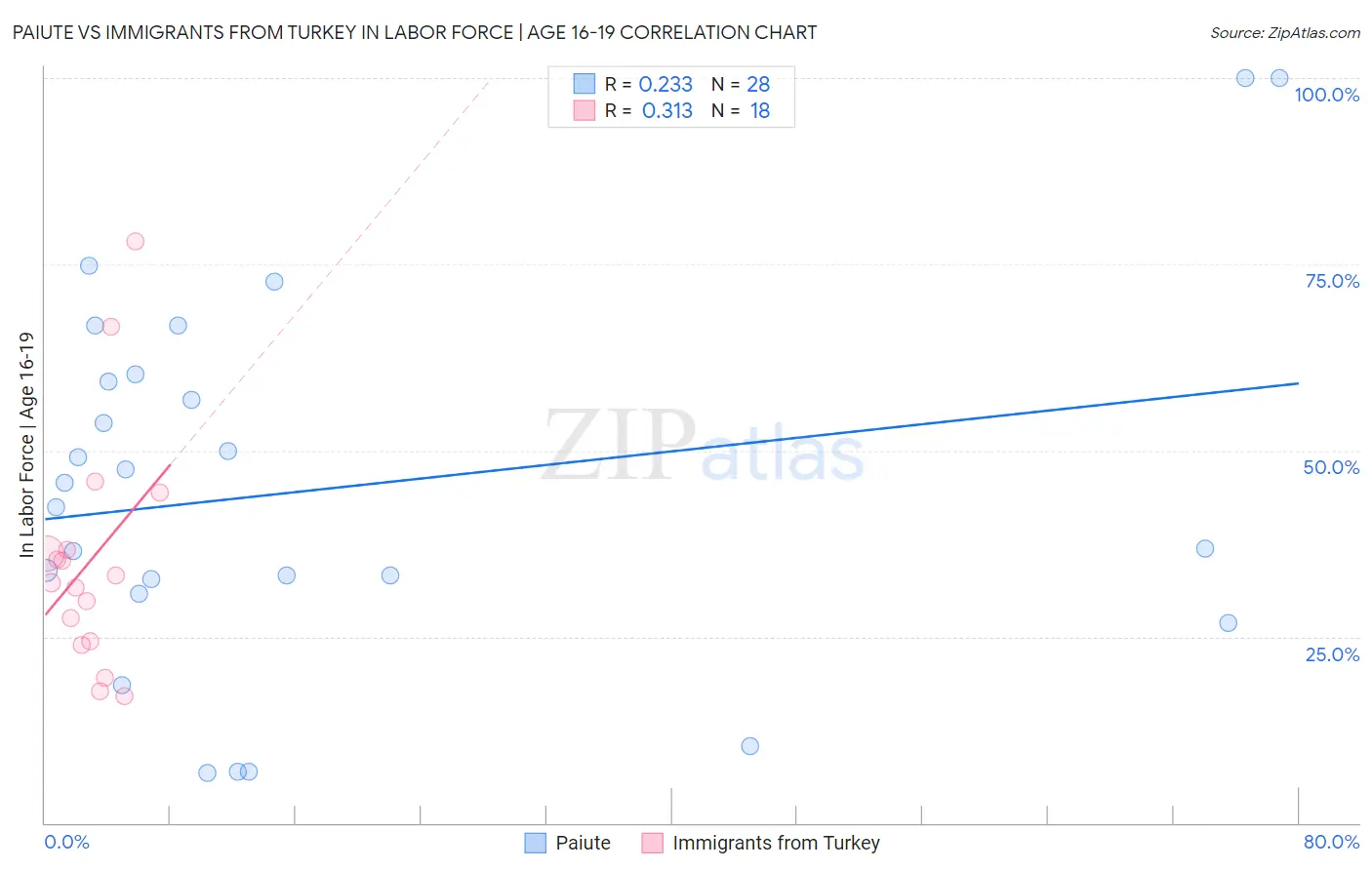 Paiute vs Immigrants from Turkey In Labor Force | Age 16-19