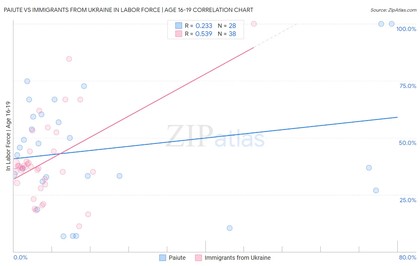 Paiute vs Immigrants from Ukraine In Labor Force | Age 16-19