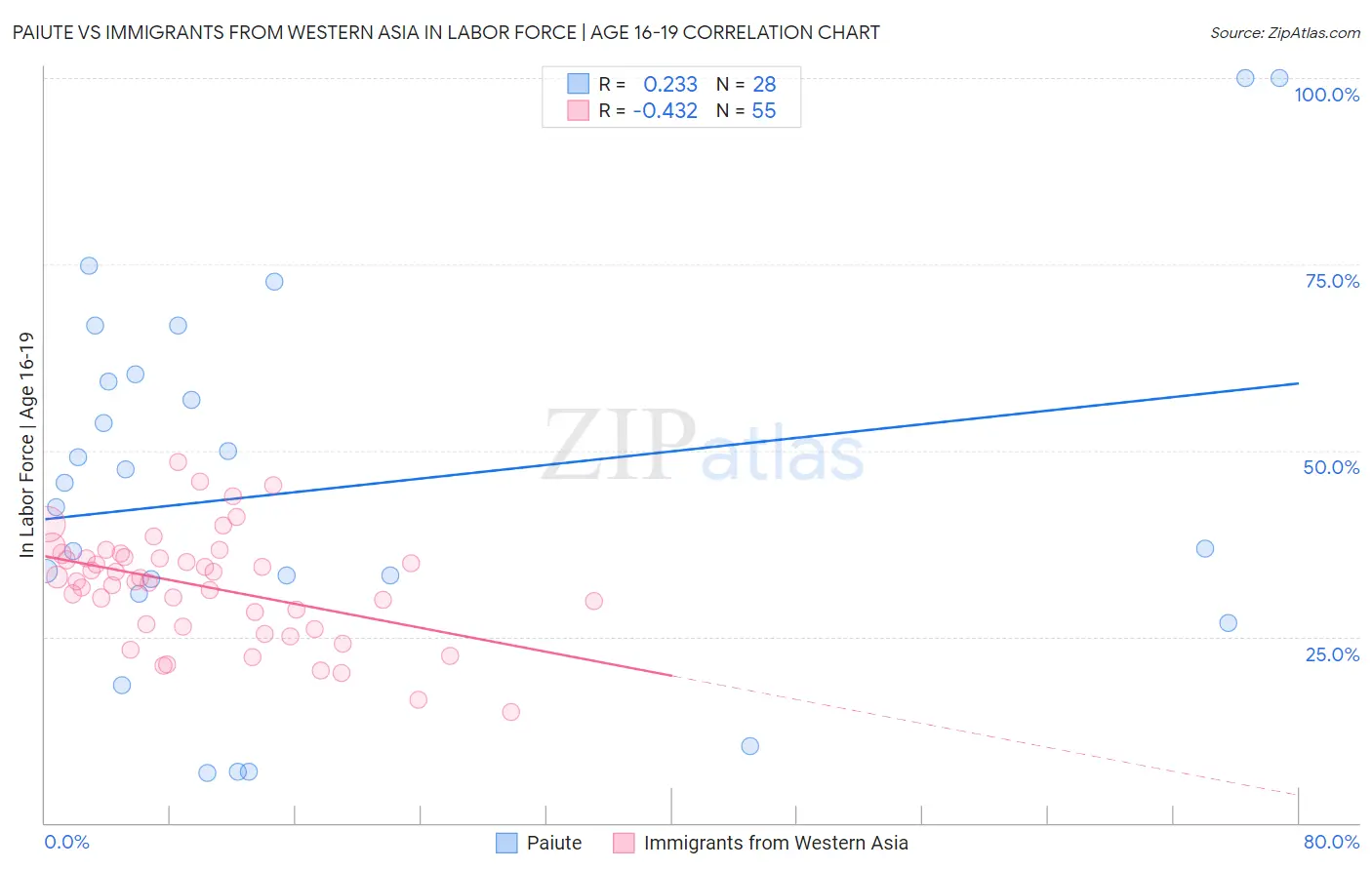 Paiute vs Immigrants from Western Asia In Labor Force | Age 16-19