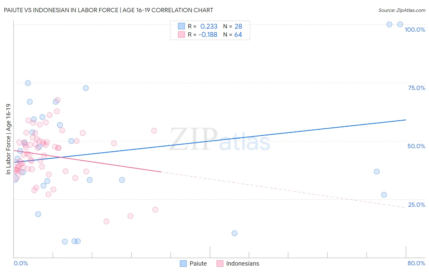 Paiute vs Indonesian In Labor Force | Age 16-19