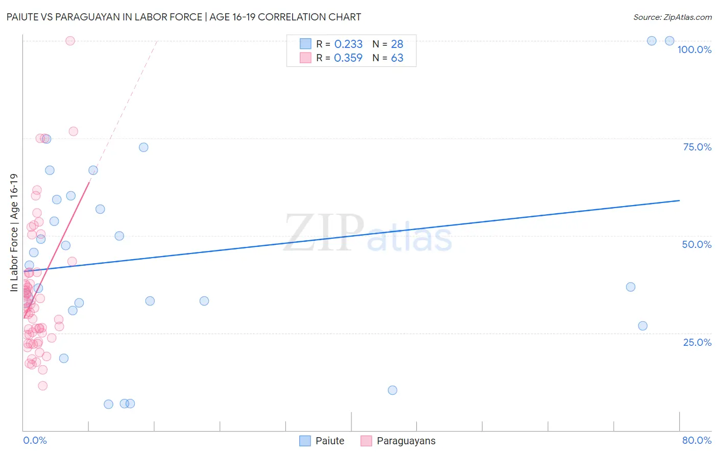 Paiute vs Paraguayan In Labor Force | Age 16-19