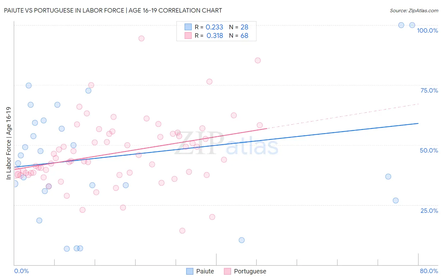 Paiute vs Portuguese In Labor Force | Age 16-19