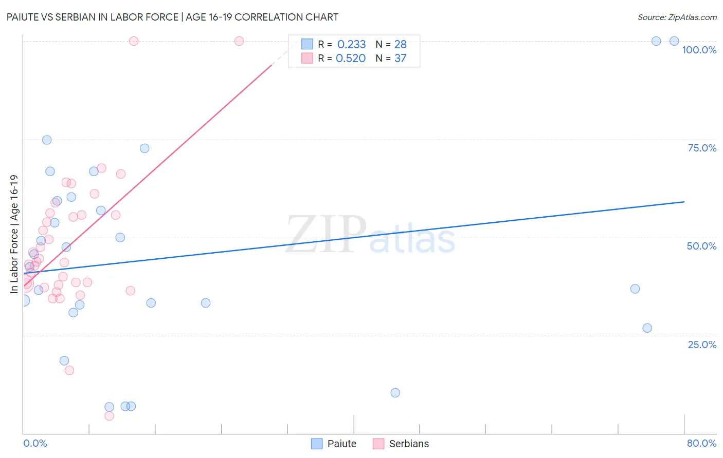 Paiute vs Serbian In Labor Force | Age 16-19