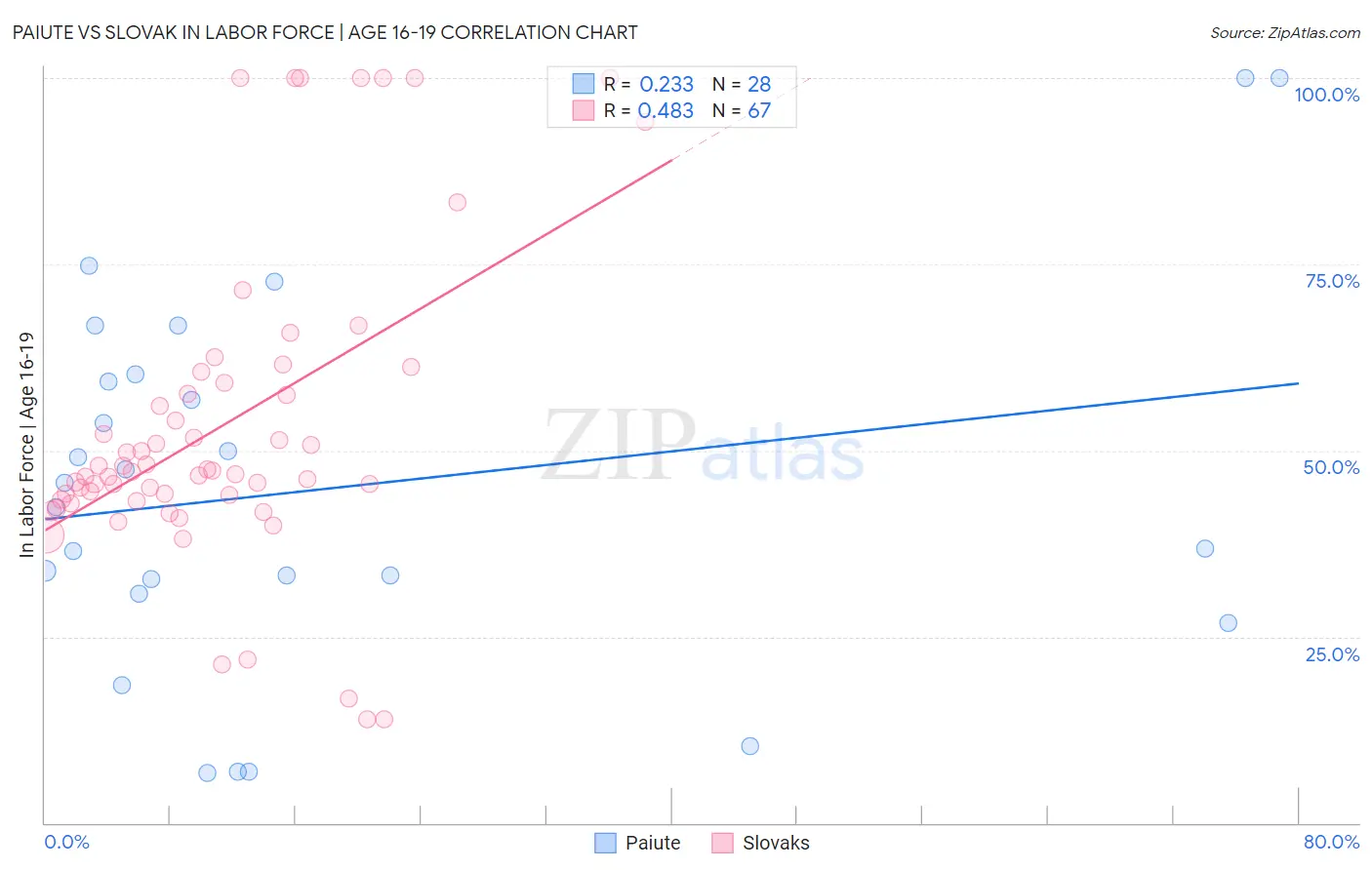 Paiute vs Slovak In Labor Force | Age 16-19