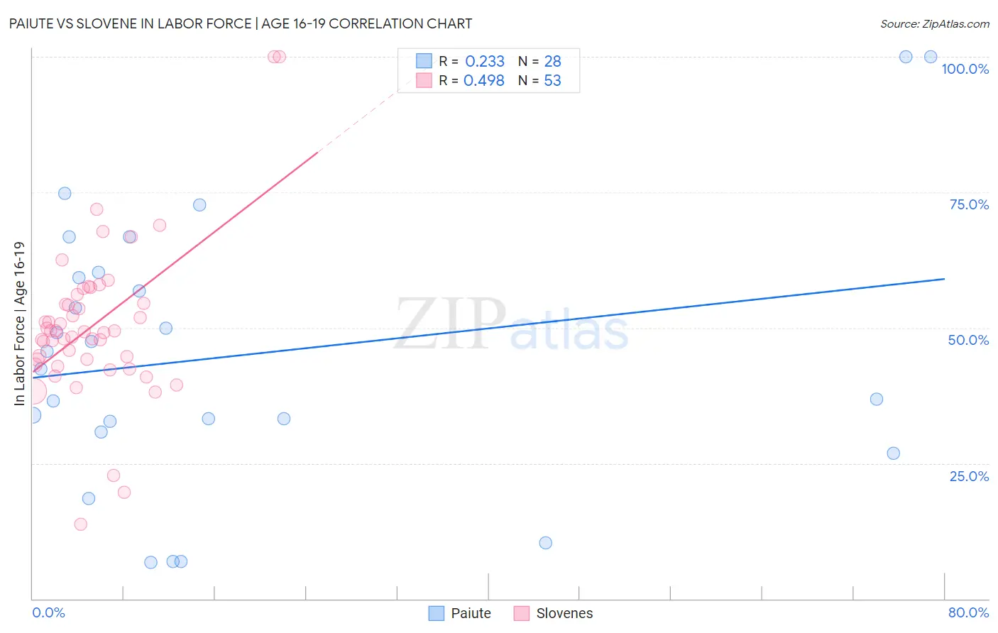 Paiute vs Slovene In Labor Force | Age 16-19