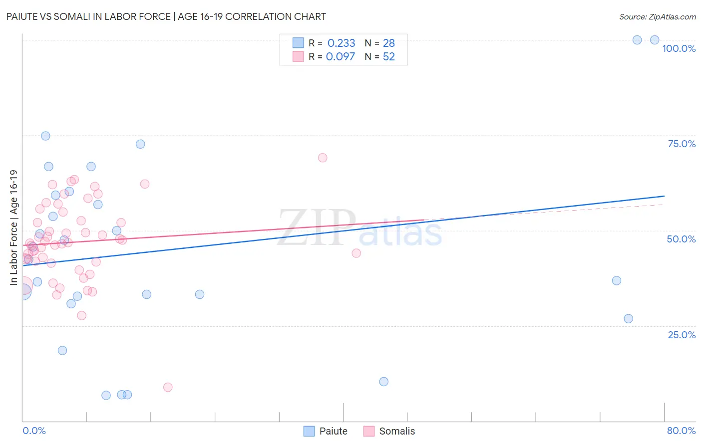 Paiute vs Somali In Labor Force | Age 16-19