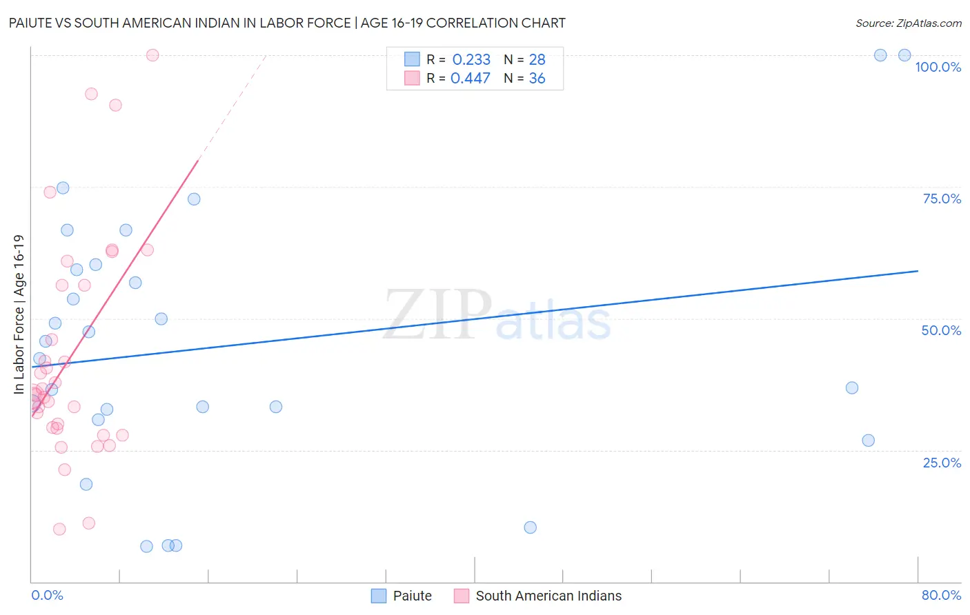 Paiute vs South American Indian In Labor Force | Age 16-19