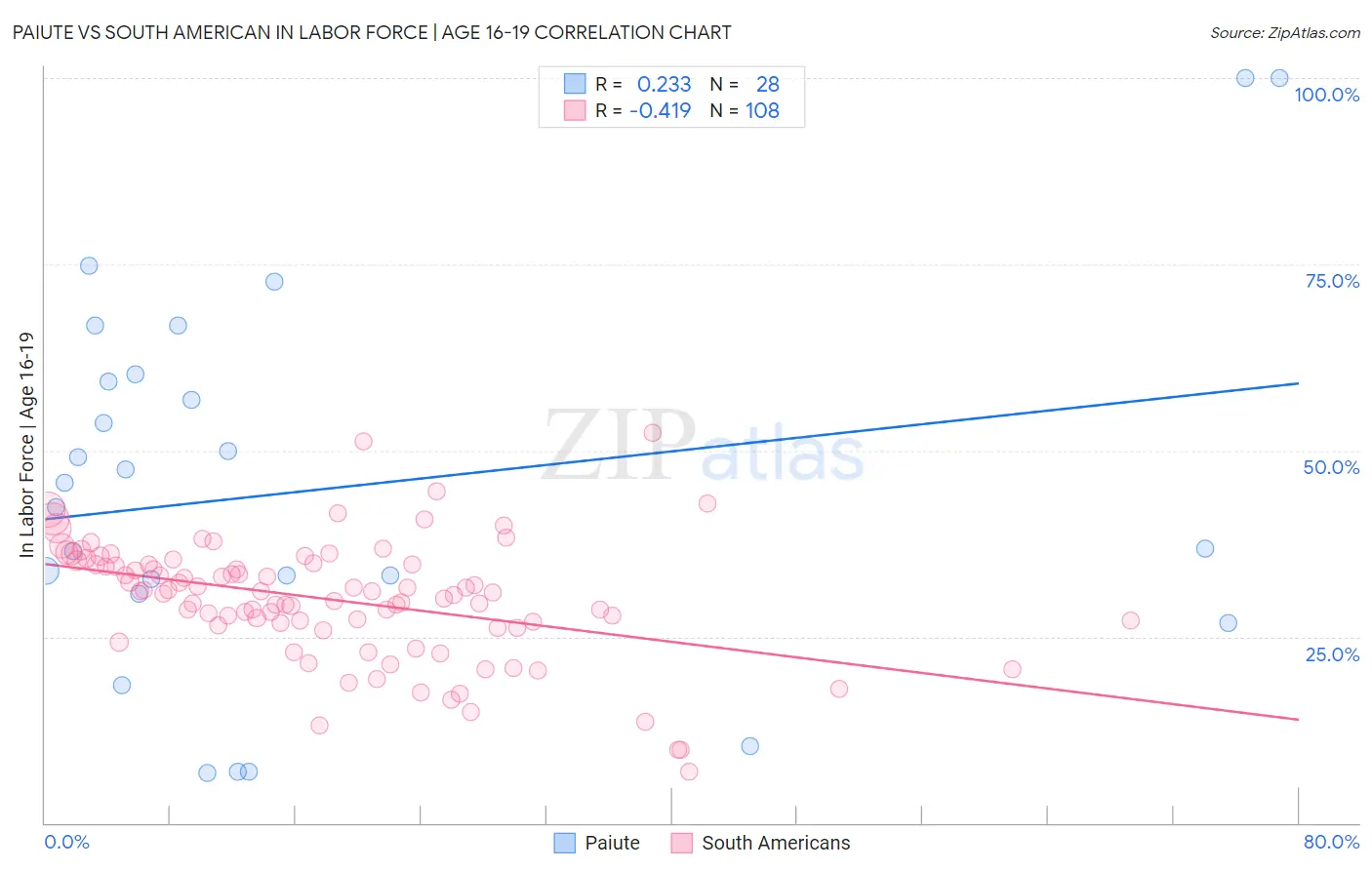 Paiute vs South American In Labor Force | Age 16-19