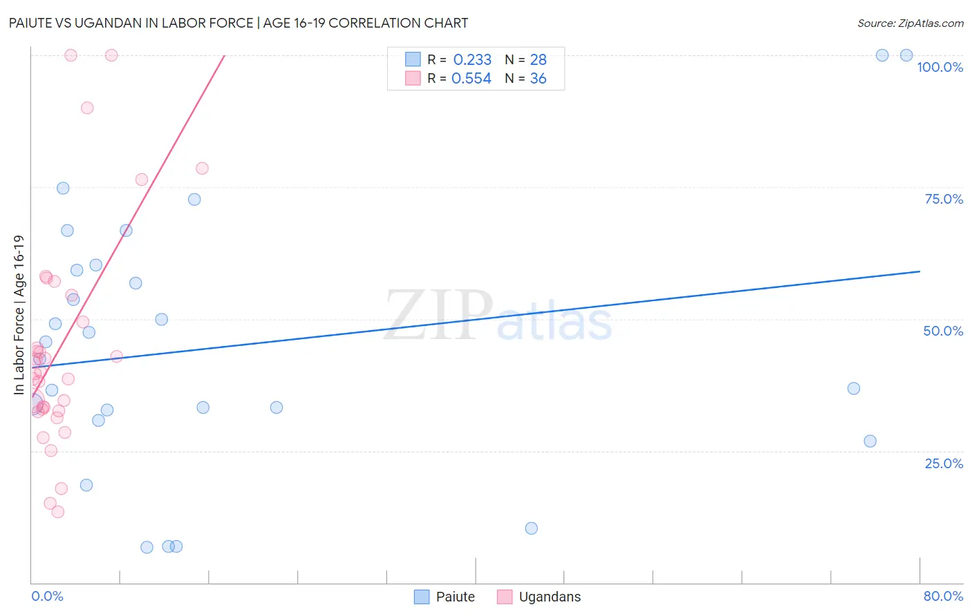 Paiute vs Ugandan In Labor Force | Age 16-19