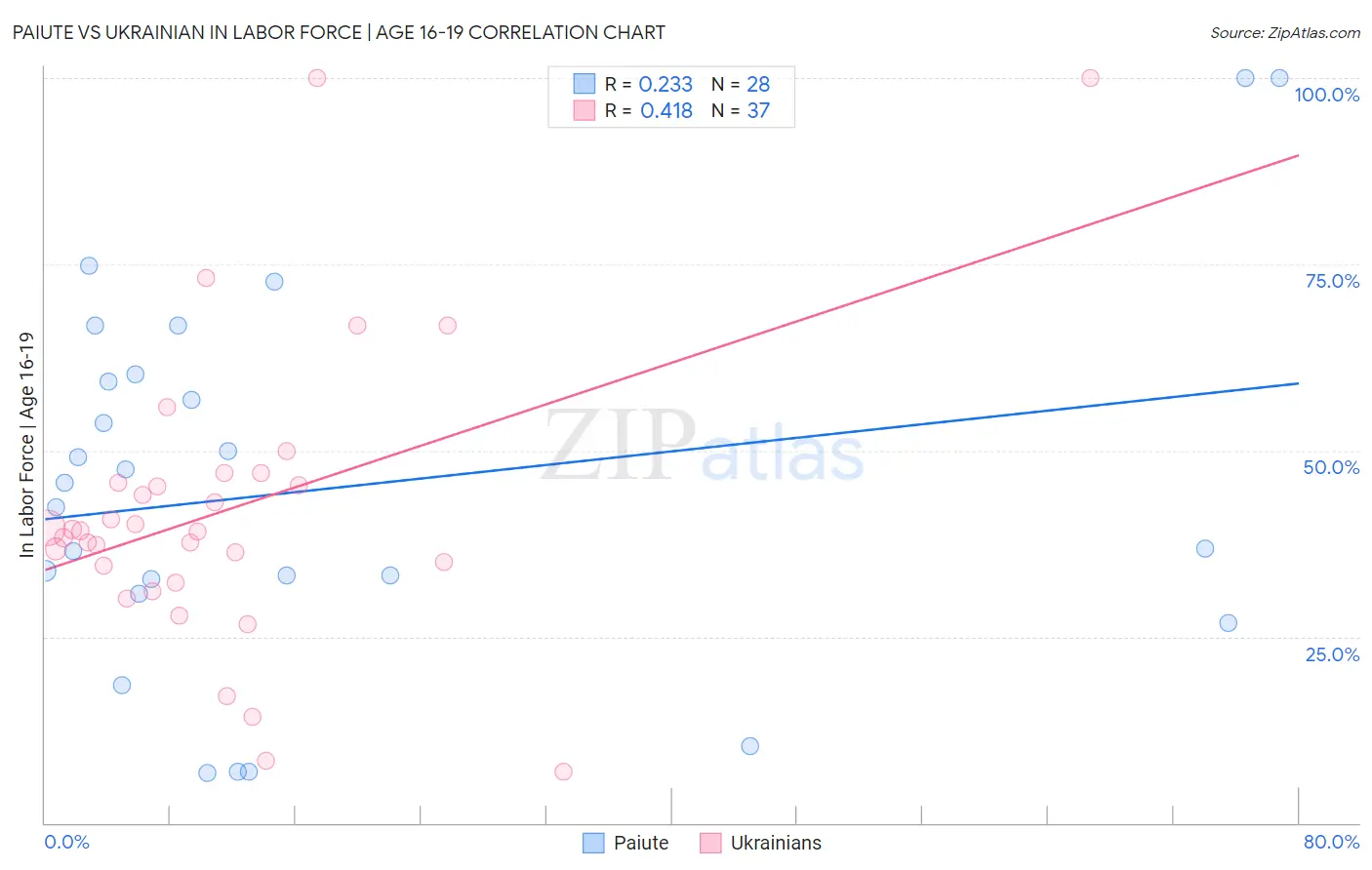 Paiute vs Ukrainian In Labor Force | Age 16-19