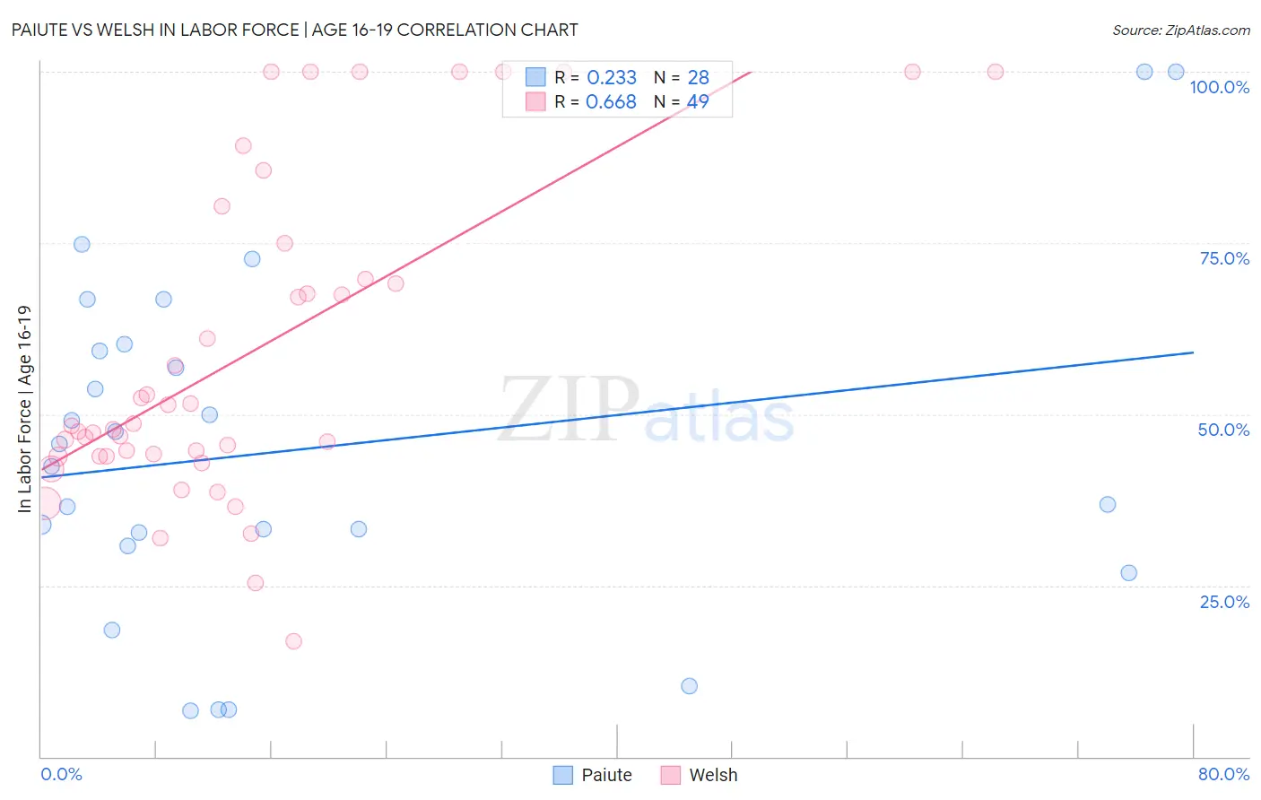 Paiute vs Welsh In Labor Force | Age 16-19