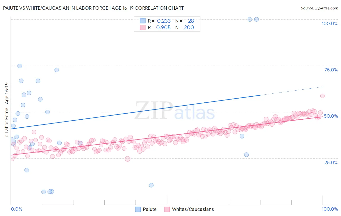 Paiute vs White/Caucasian In Labor Force | Age 16-19